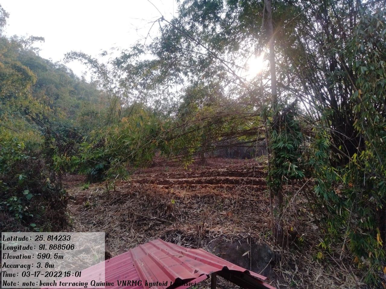 C:\Users\Lavinia Pde\Pictures\Camera Roll\IMG-20220713-WA0004.jpg